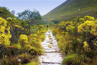 Wanderer im Fernkloof Nature Reserve